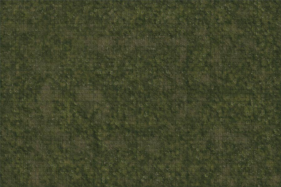Dungeons & Dragons Icons Of The Realms Battle Mat - Grasslands