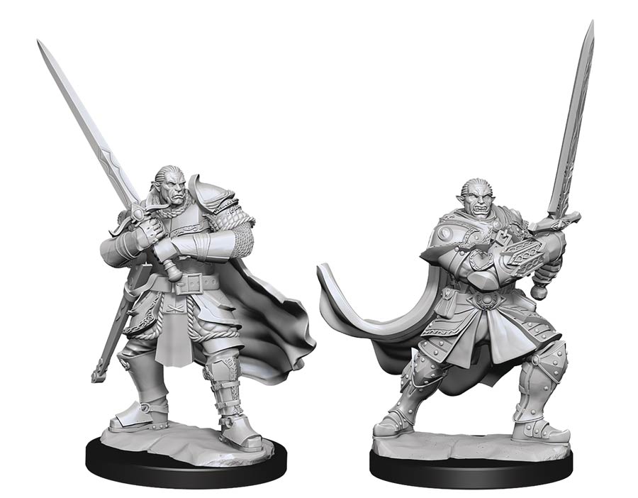 Dungeons & Dragons Nolzars Marvelous Miniature - Half-Orc Paladin Male