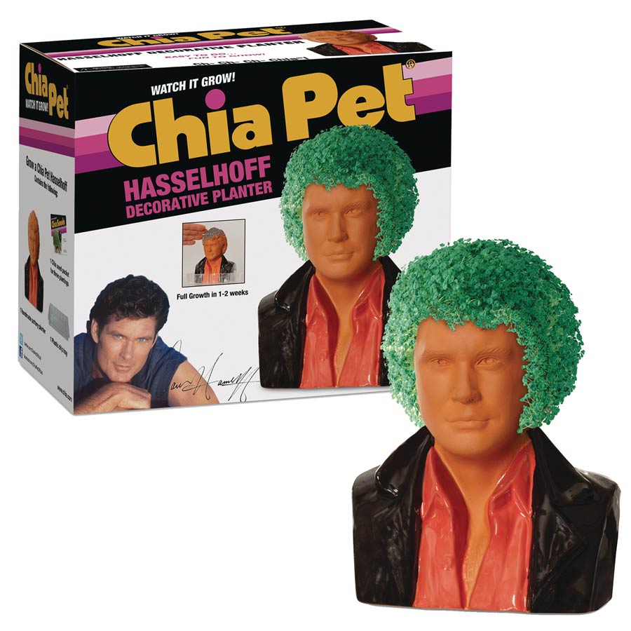 Chia Pet - David Hasselhoff