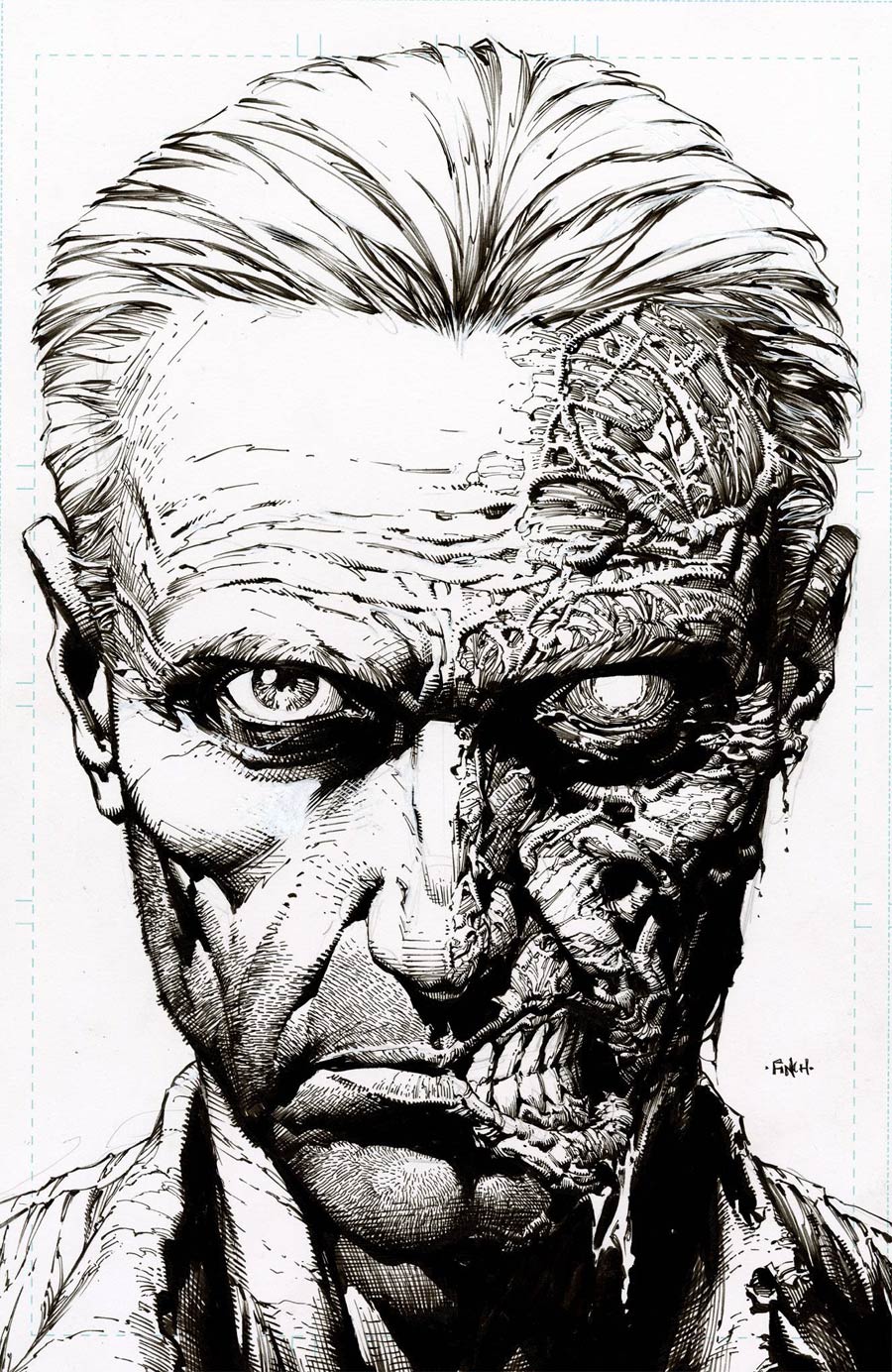 Walking Dead Deluxe #10 Cover E 2nd Ptg Incentive David Finch Raw Variant Cover