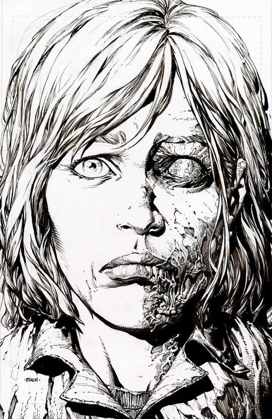 Walking Dead Deluxe #12 Cover D 2nd Ptg Incentive David Finch Raw Variant Cover