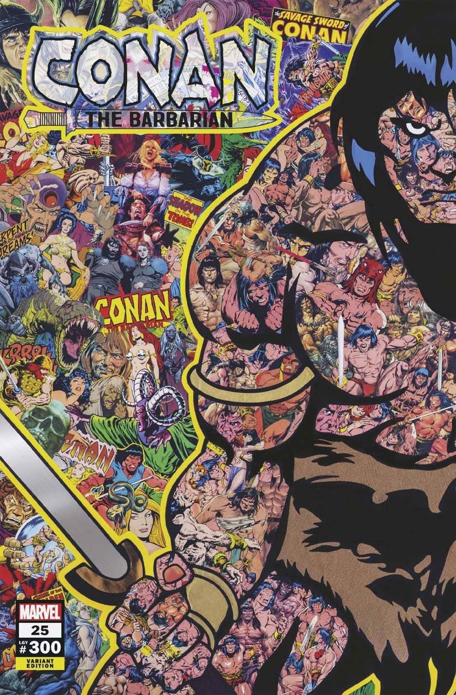 Conan The Barbarian Vol 4 #25 Cover D Variant Mr Garcin Cover (#300)(Limit 1 Per Customer)