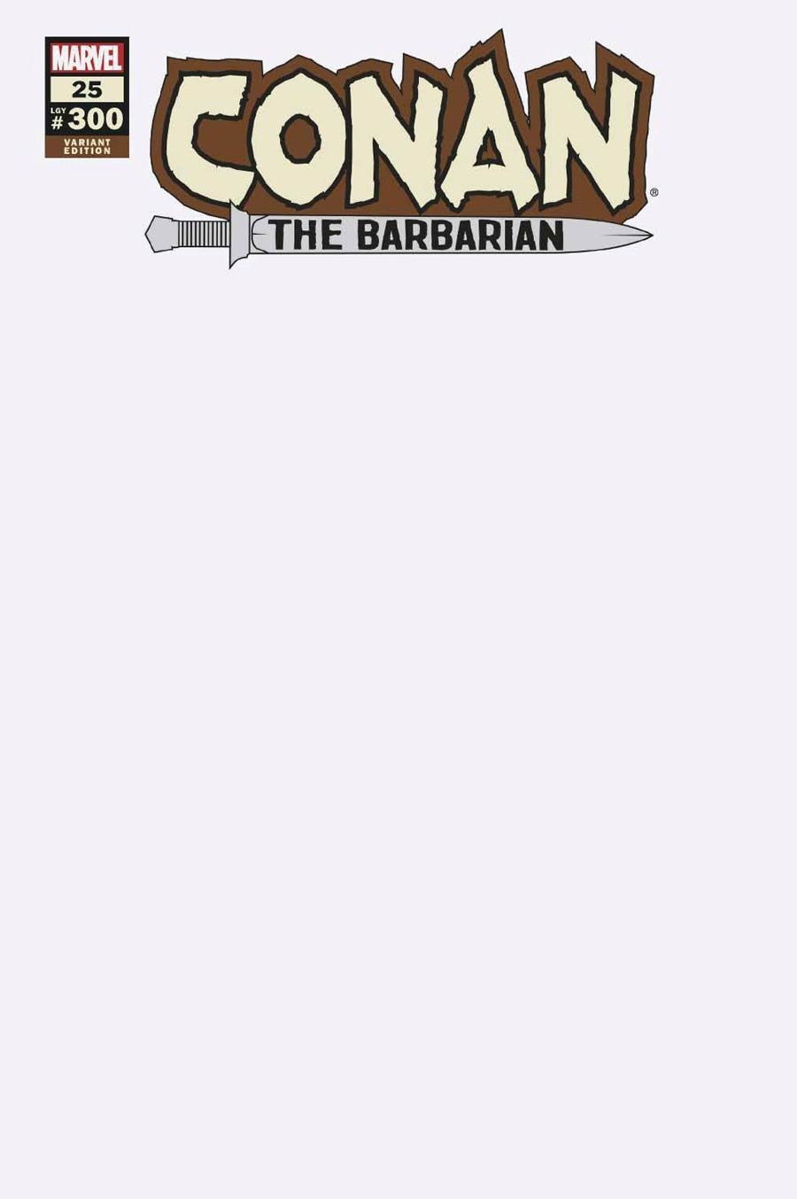 Conan The Barbarian Vol 4 #25 Cover E Variant Blank Cover (#300)