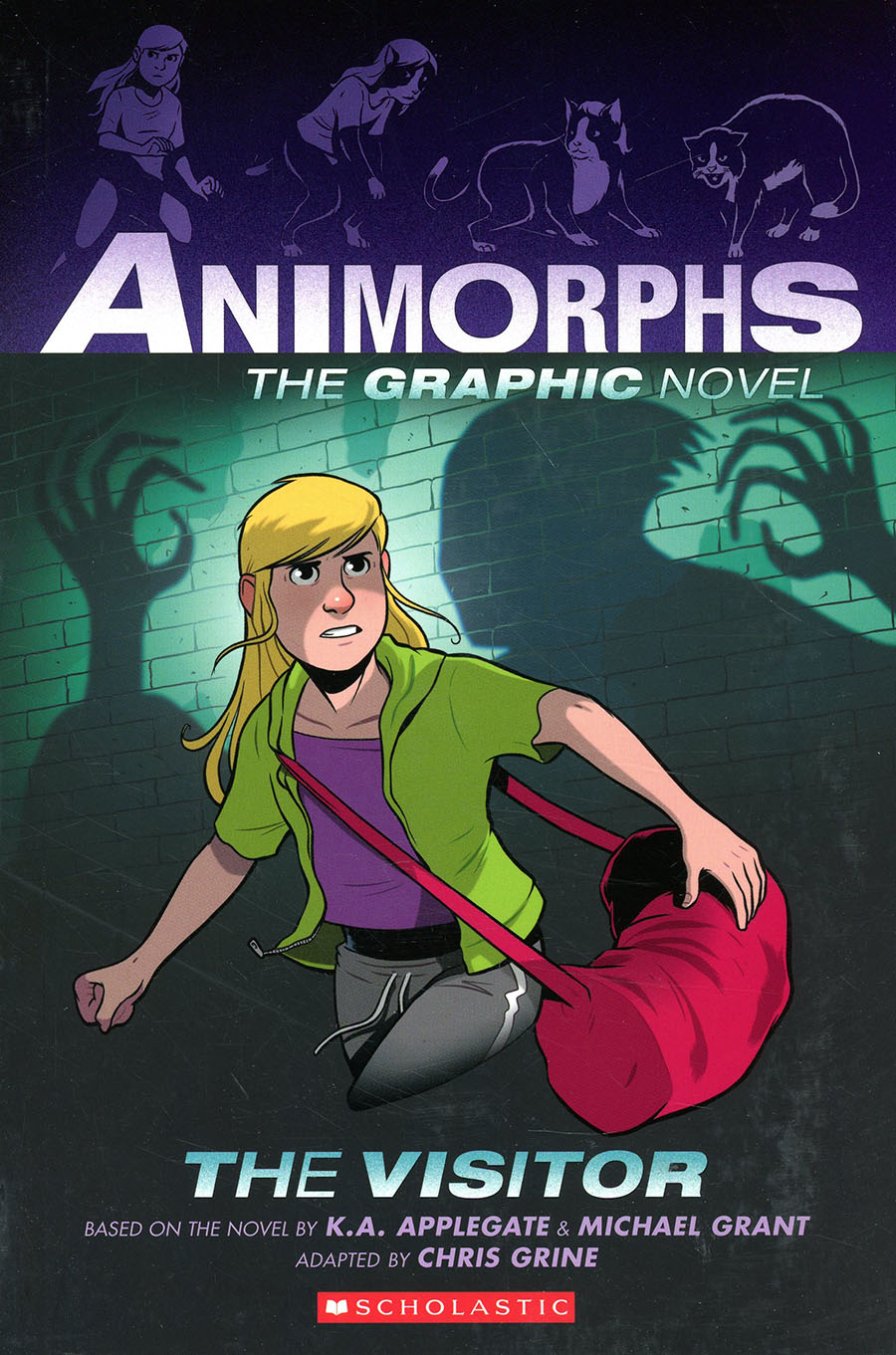 Animorphs The Graphic Novel Vol 2 The Visitor TP