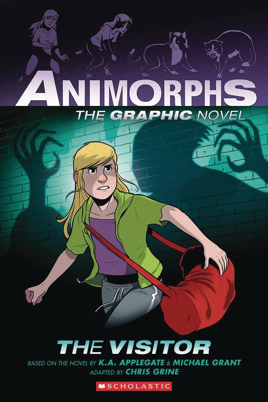 Animorphs The Graphic Novel Vol 2 The Visitor HC