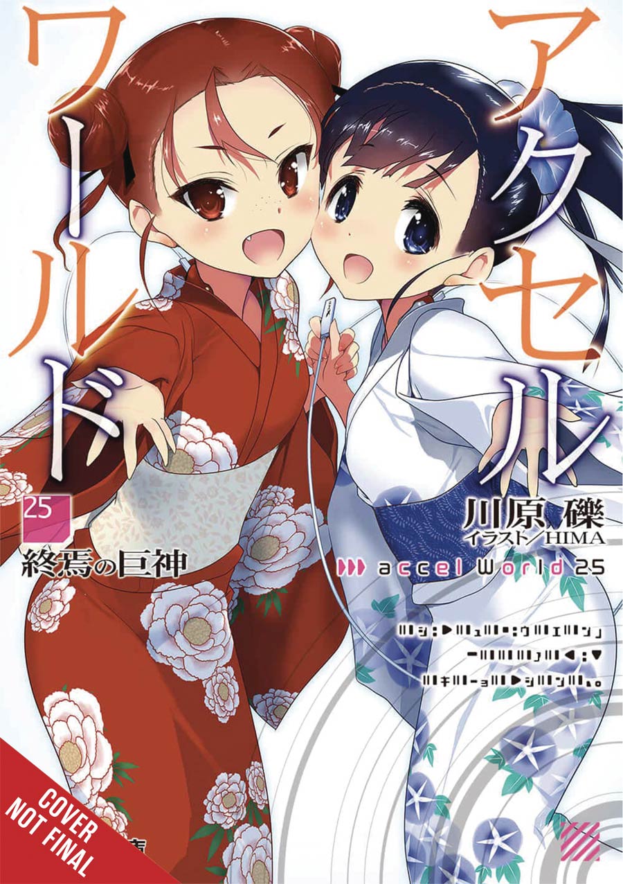 Accel World Novel Vol 25 TP