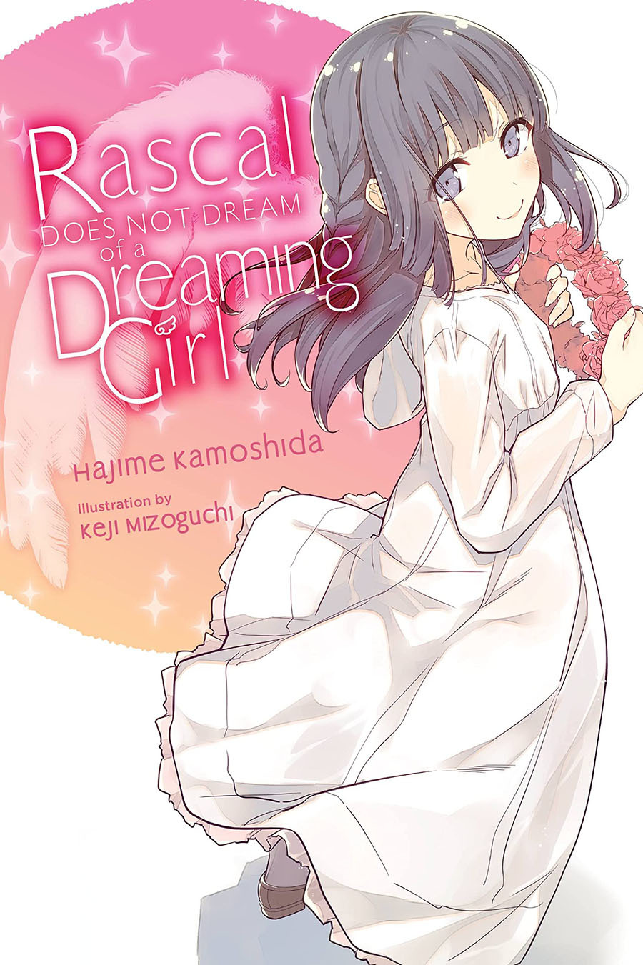 Rascal Does Not Dream Of A Dreaming Girl Light Novel