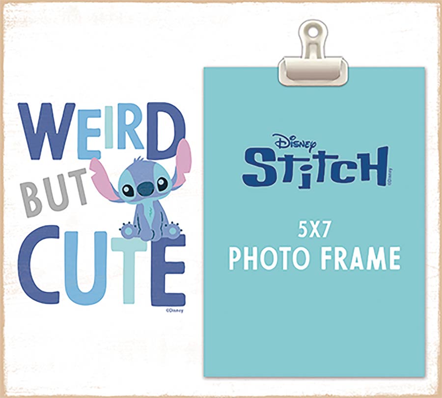 Stitch Photo Frame With Clip