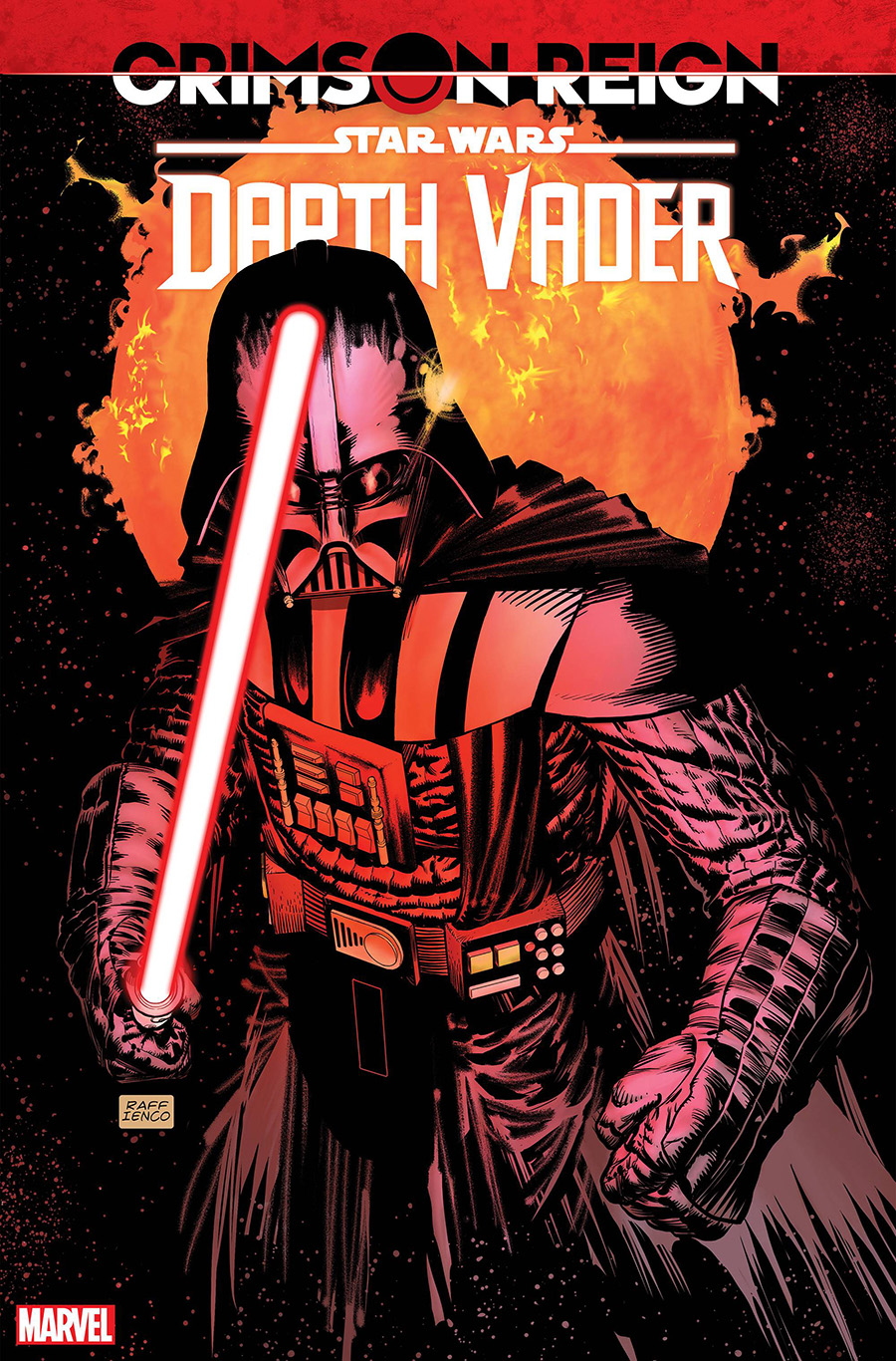 Star Wars Darth Vader #20 Cover C Variant Raffaele Ienco Cover