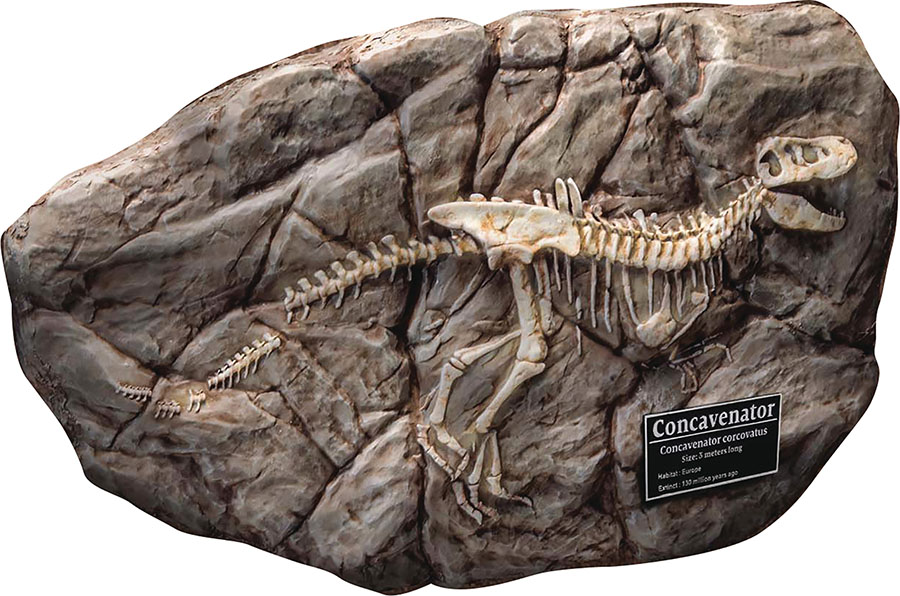 Wonders Of The Wild Concavenator - Fossil Replica