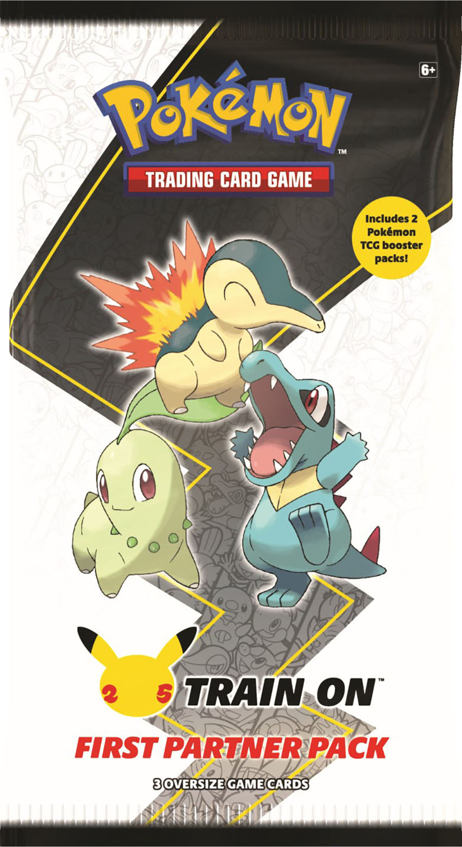 Pokemon First Partner Johto Display