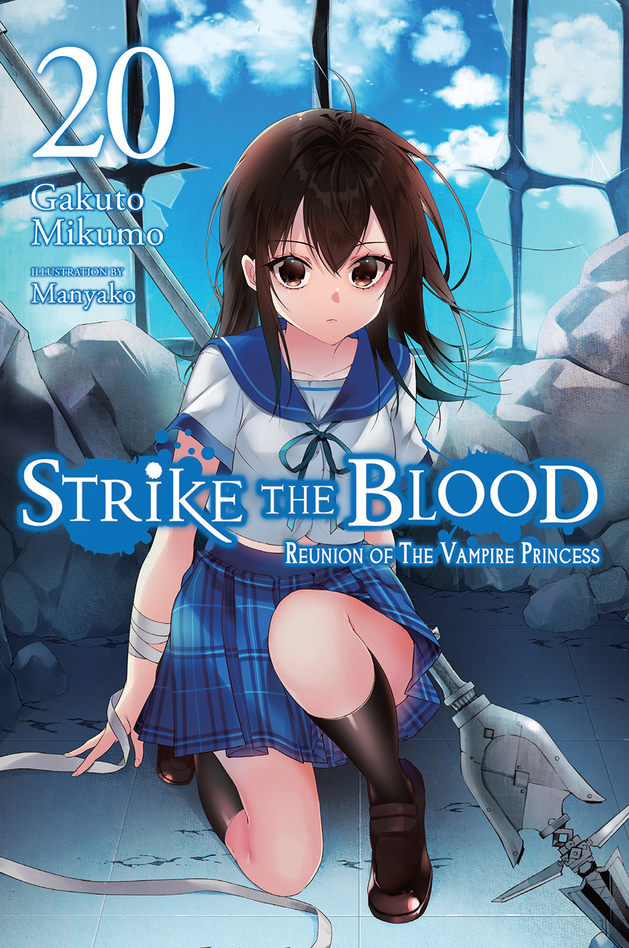 Strike The Blood Light Novel Vol 20