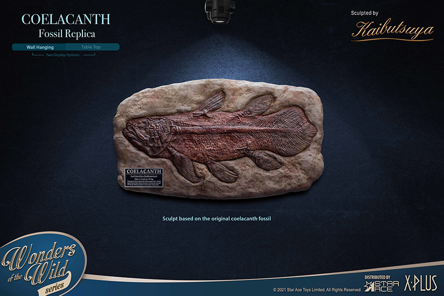 Wonders Of The Wild Coelacanth Fossil Replica