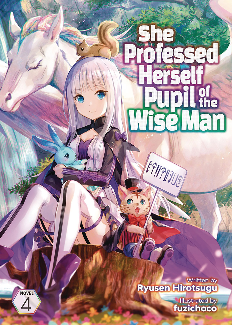 She Professed Herself Pupil Of The Wise Man Light Novel Vol 4