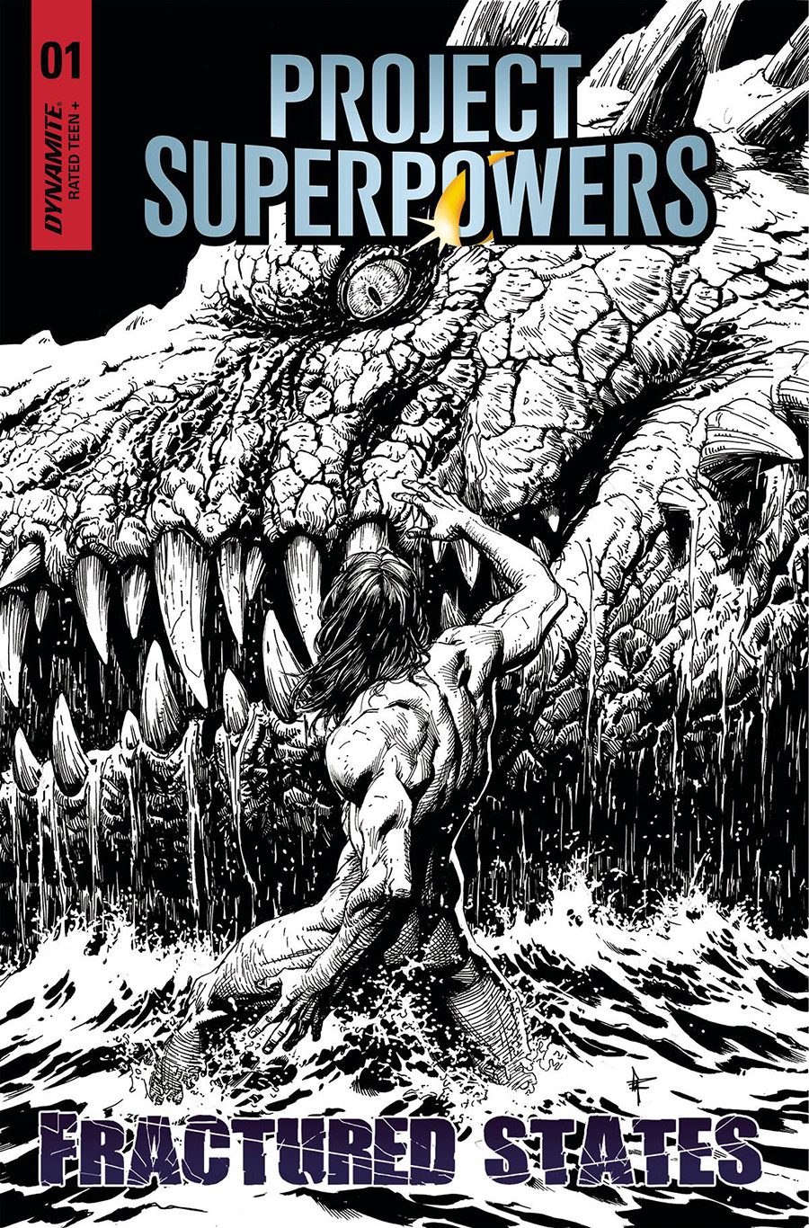 Project Superpowers Fractured States #1 Cover I Incentive Gary Frank Black & White Cover