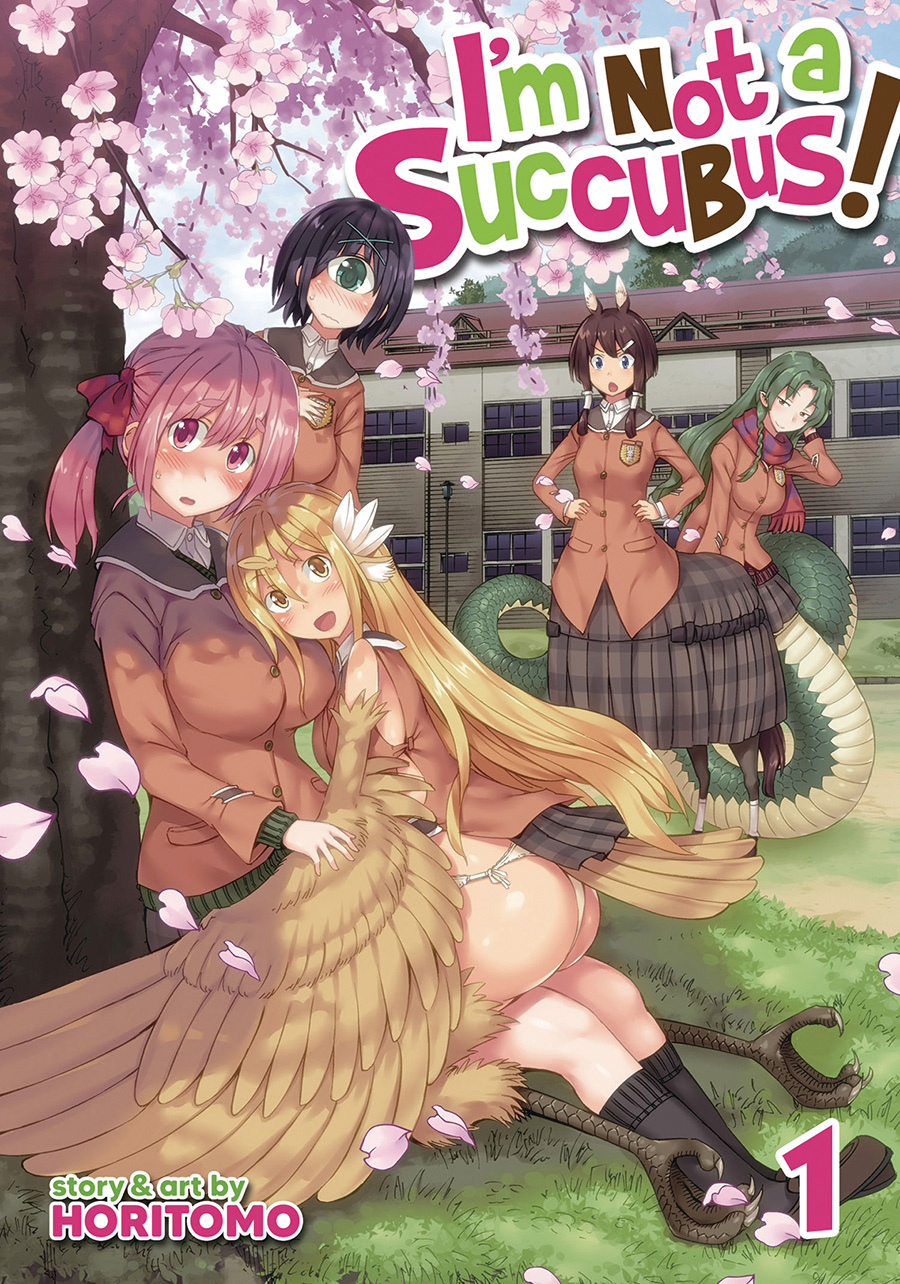 Im Not A Succubus Vol 1 GN