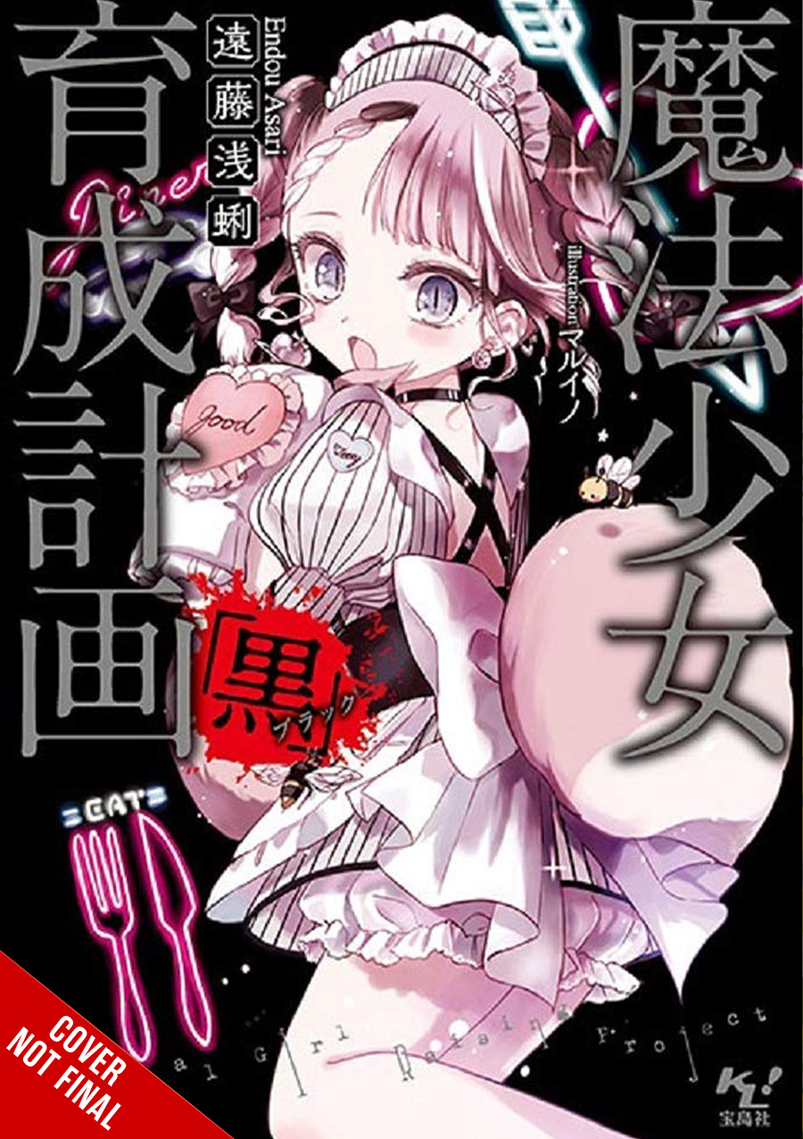 Magical Girl Raising Project Light Novel Vol 13 Black