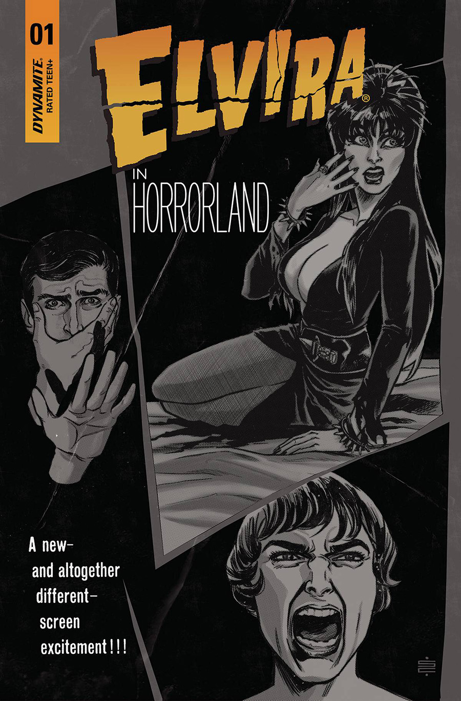 Elvira In Horrorland #1 Cover I Incentive Silvia Califano Black & White Cover