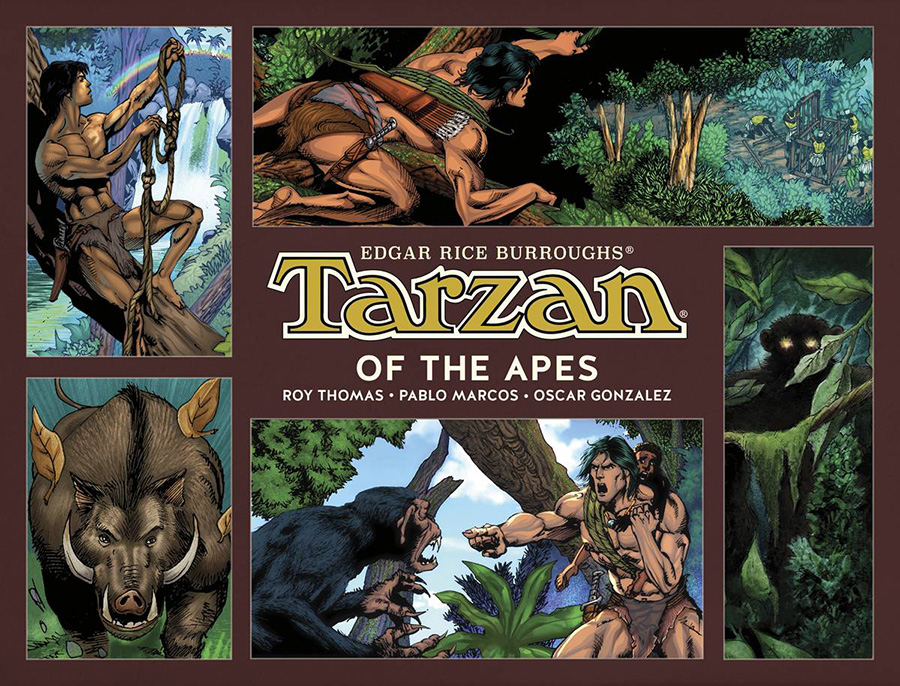 Tarzan Of The Apes Vol 1 HC