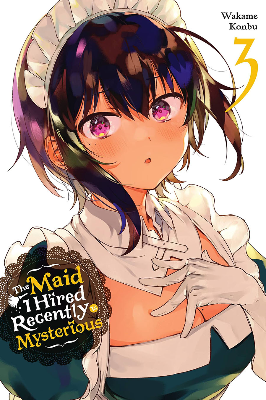 Maid I Hired Recently Is Mysterious Vol 3 GN