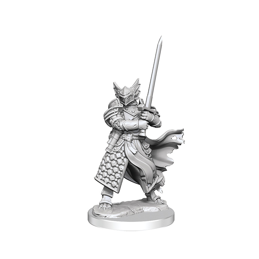 Dungeons & Dragons Frameworks Miniature - Dragonborn Paladin Male