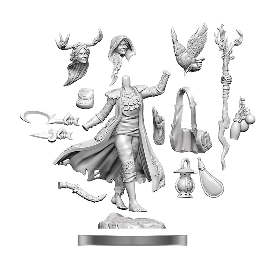 Dungeons & Dragons Frameworks Miniature - Human Druid Female