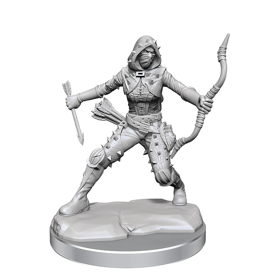 Dungeons & Dragons Frameworks Miniature - Human Rogue Female