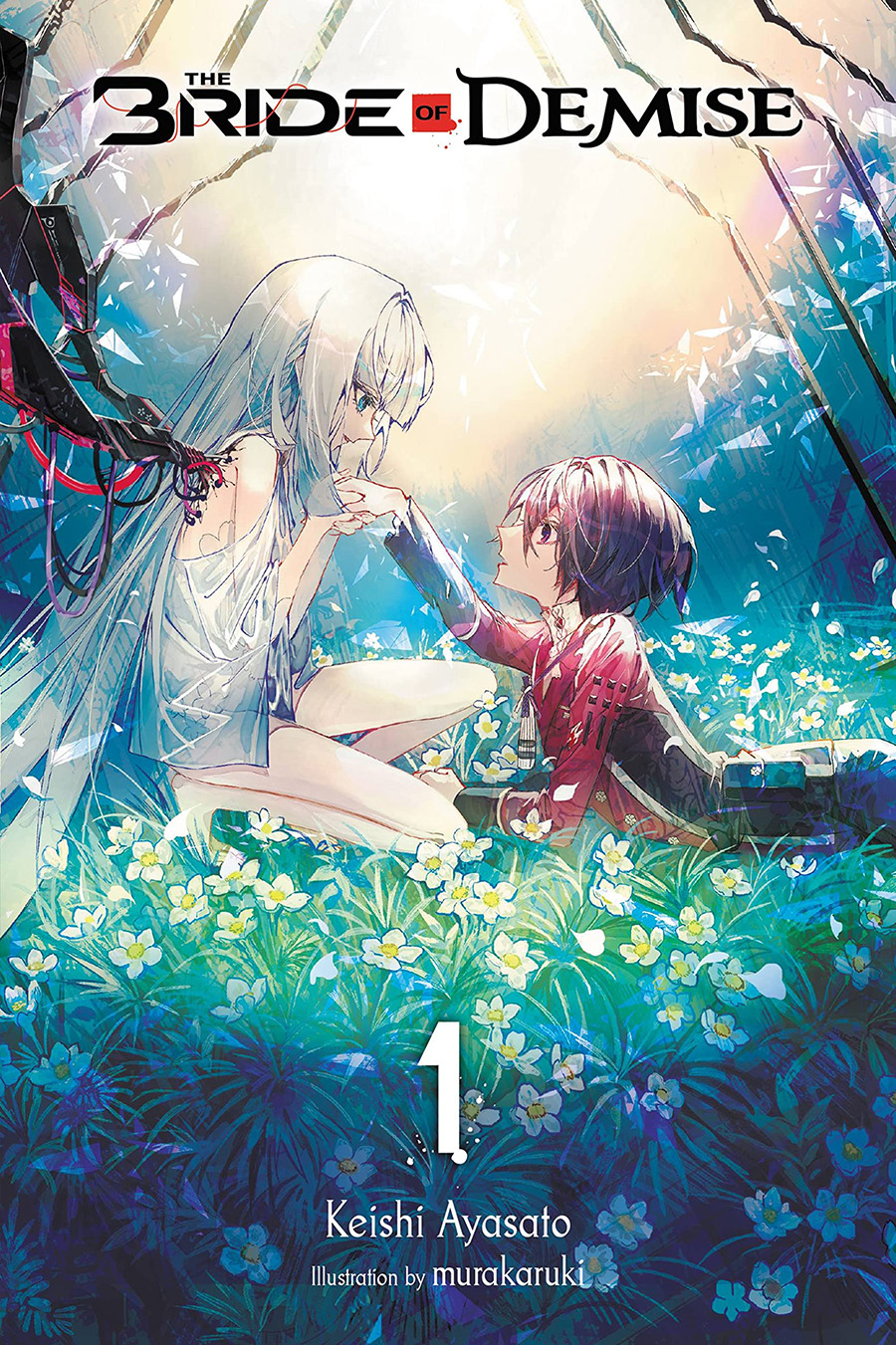 Bride Of Demise Light Novel Vol 1