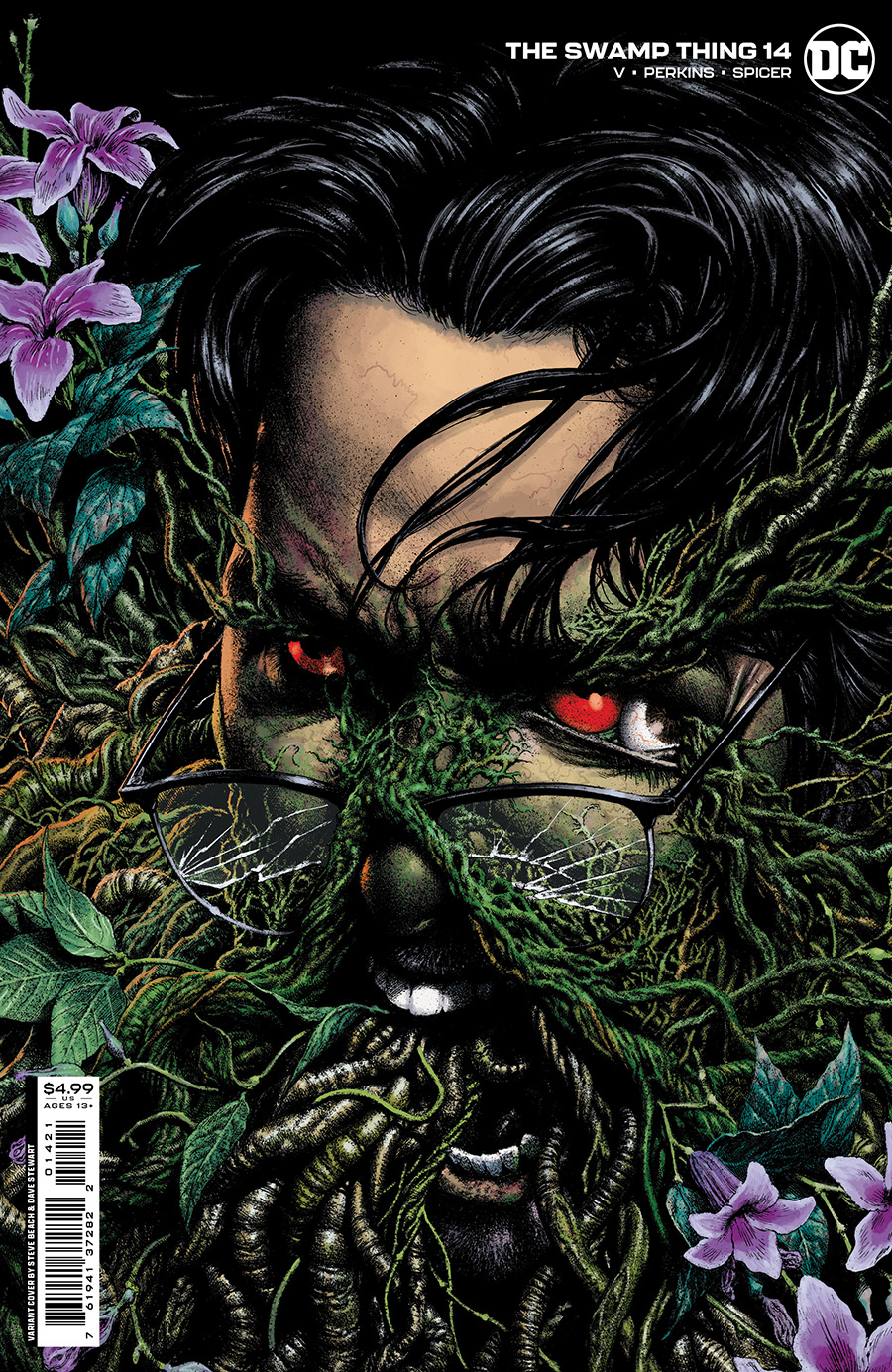 Swamp Thing Vol 7 #14 Cover B Variant Steve Beach Card Stock Cover