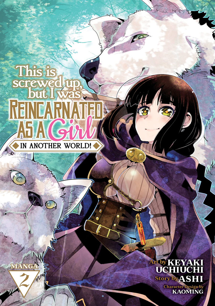 This Is Screwed Up But I Was Reincarnated As A Girl In Another World Vol 2 GN