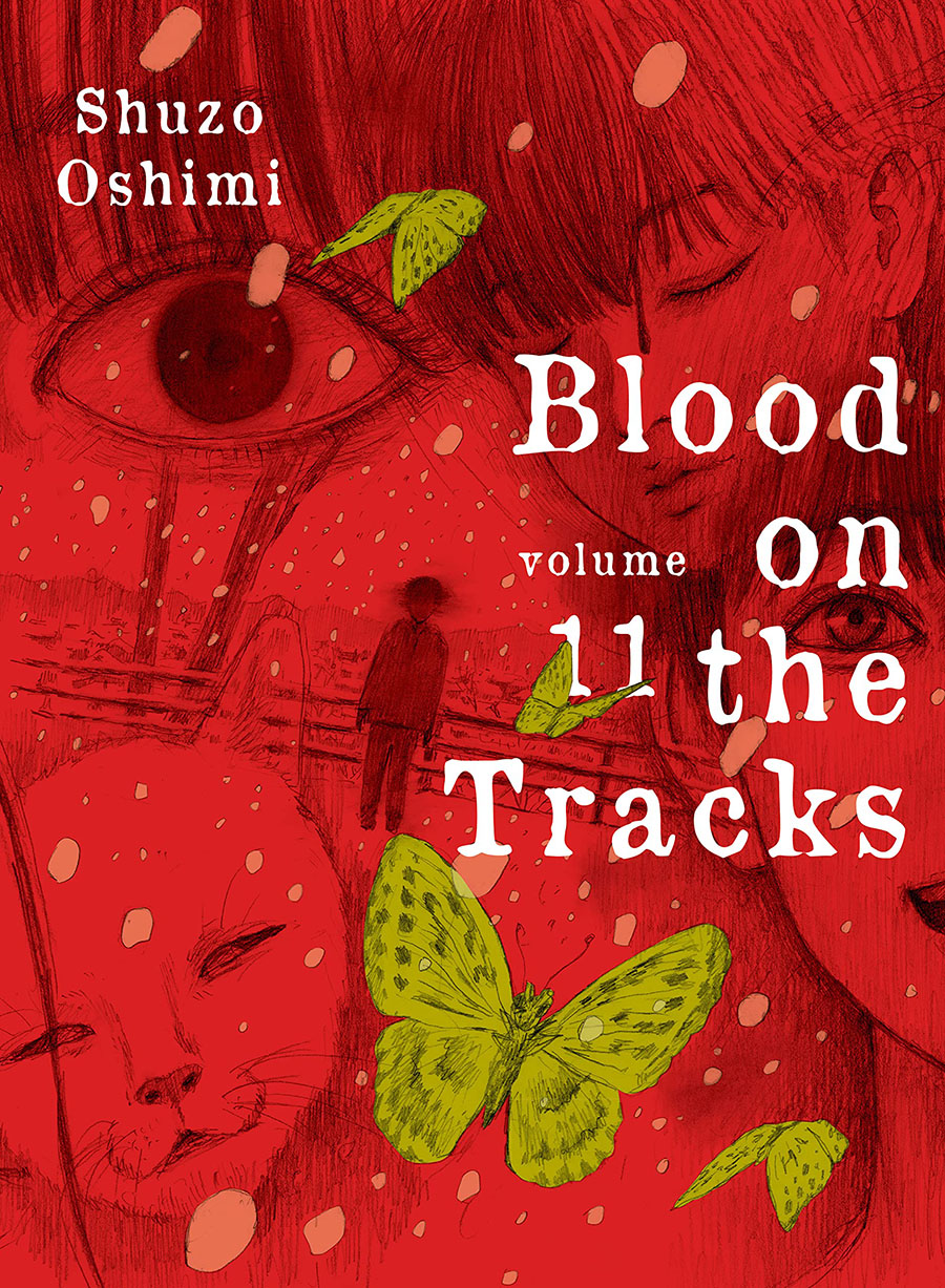 Blood On The Tracks Vol 11 GN