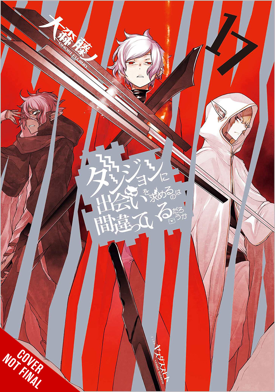Is It Wrong To Try To Pick Up Girls In A Dungeon Novel Vol 17