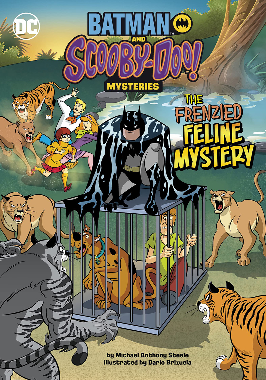 Batman And Scooby-Doo Mysteries Frenzied Feline Mystery TP