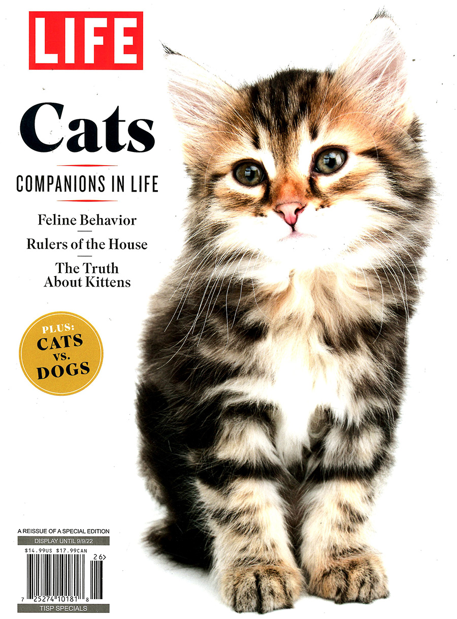 Life Magazine Cats