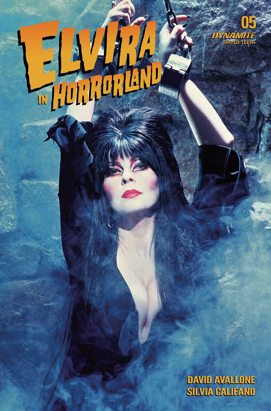Elvira In Horrorland #5 Cover D Variant Photo Cover