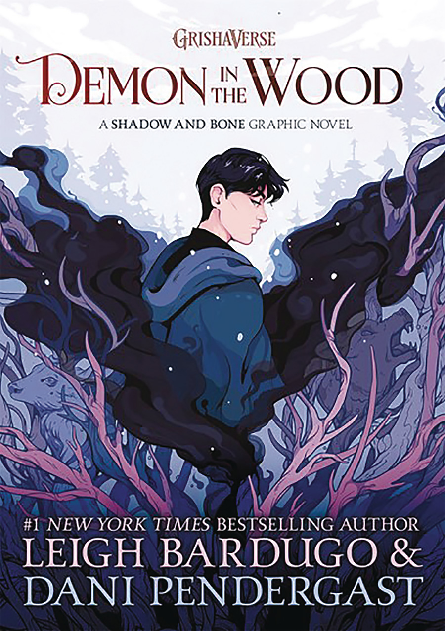 Demon In The Wood A Shadow And Bone Graphic Novel HC