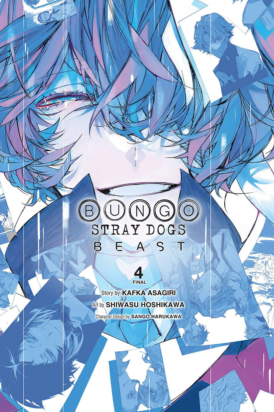 Bungo Stray Dogs Beast Vol 4 GN
