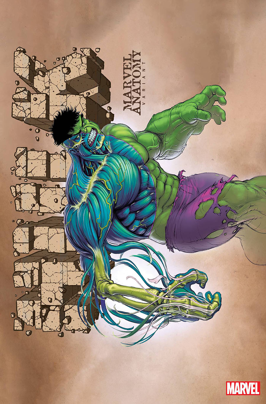 Hulk Vol 5 #11 Cover B Variant Jonah Lobe Marvel Anatomy Cover