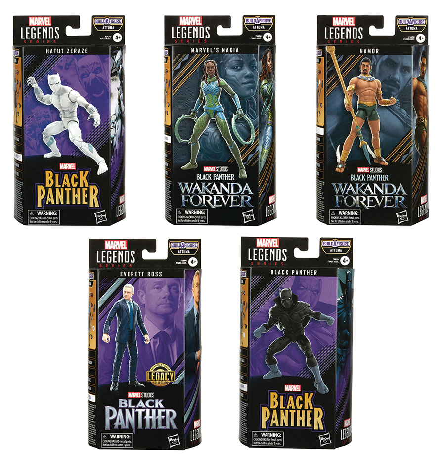 Marvel Black Panther Wakanda Forever Legends 6-Inch Action Figure Assortment Case