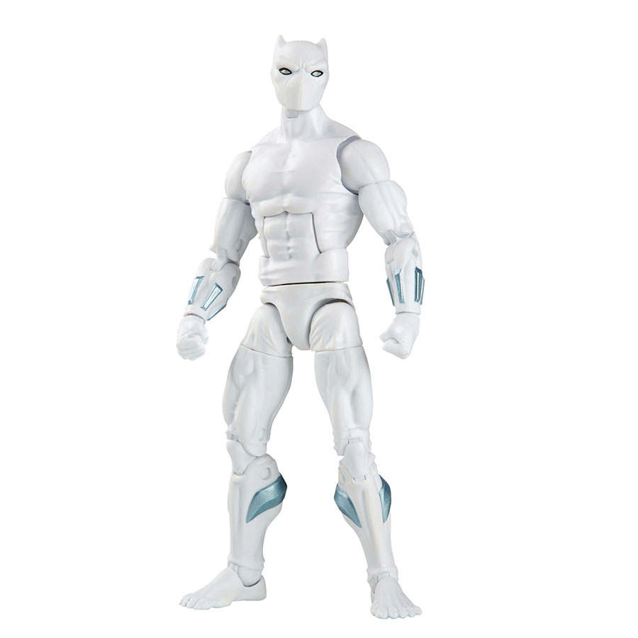 Marvel Black Panther Wakanda Forever Legends Okoye 6-Inch Action Figure Case