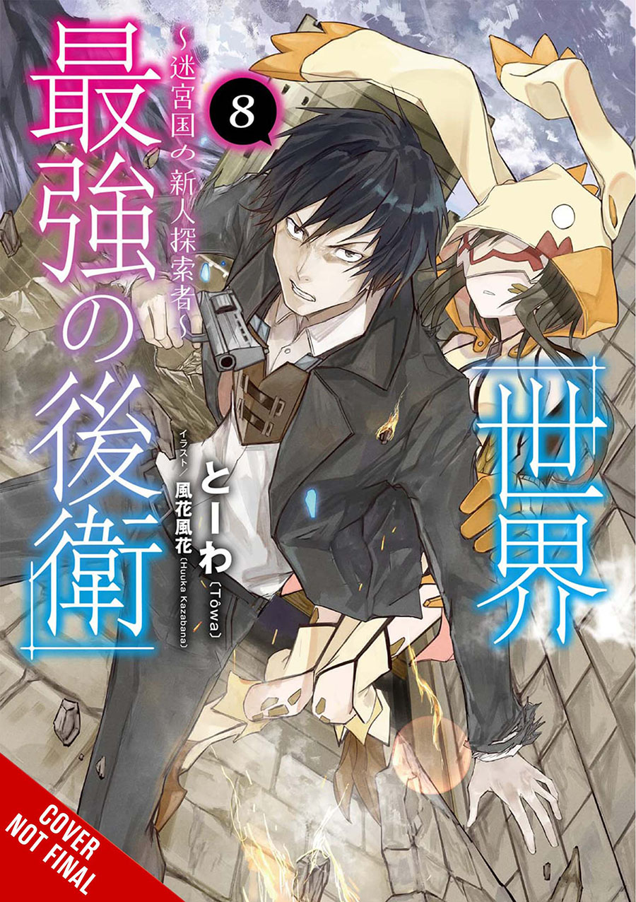 Worlds Strongest Rearguard Labyrinth Countrys Novice Seeker Light Novel Vol 8