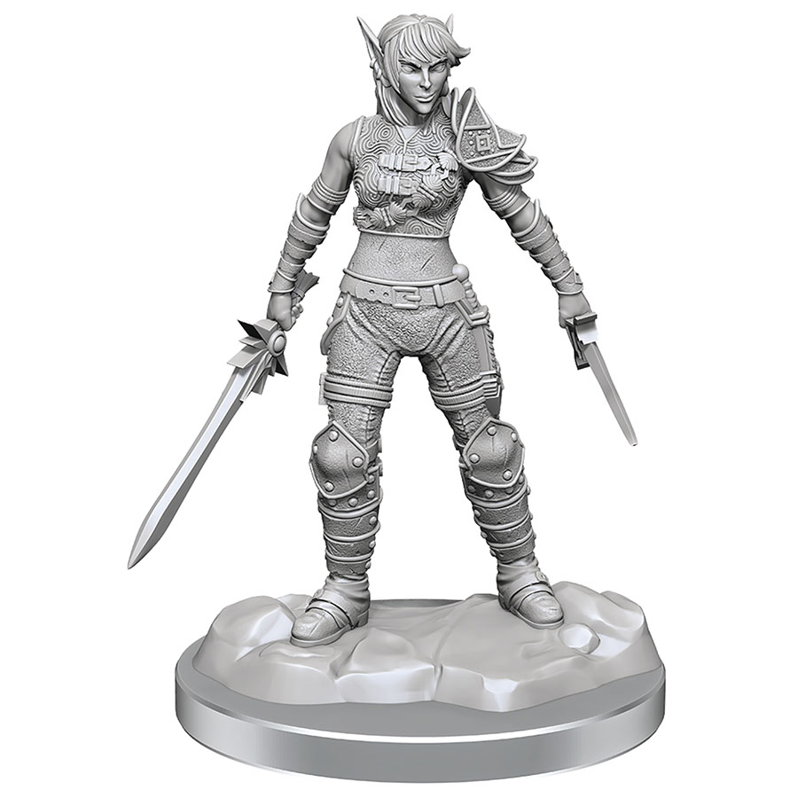 Dungeons & Dragons Nolzurs Unpainted Miniature - Elf Rogue & Protege