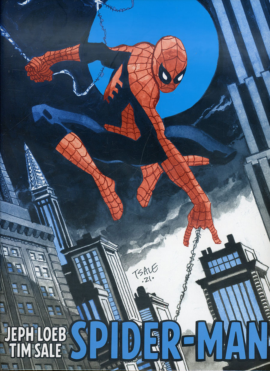 Jeph Loeb & Tim Sale Spider-Man Gallery Edition HC Direct Market Tim Sale All-New Unseen Art Variant Cover
