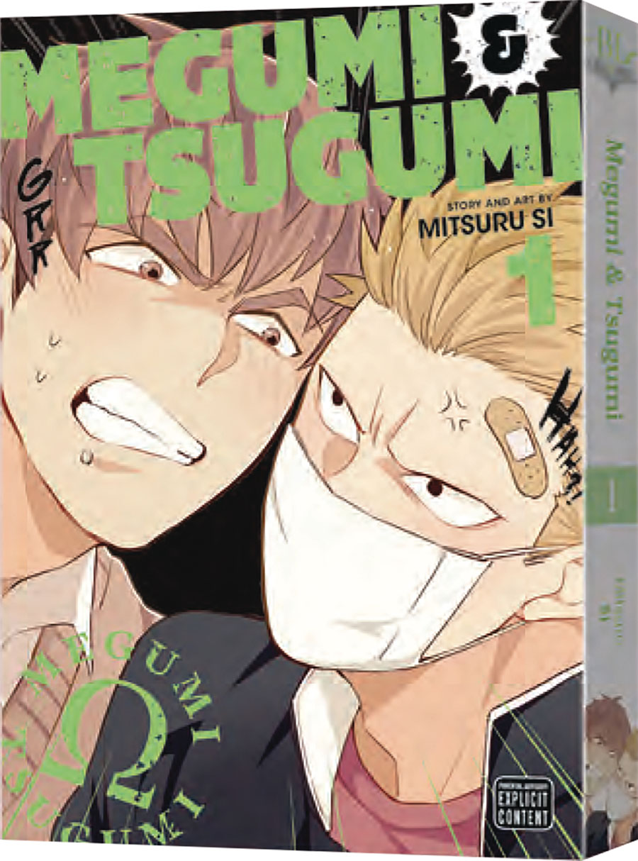Megumi & Tsugumi Vol 1 GN