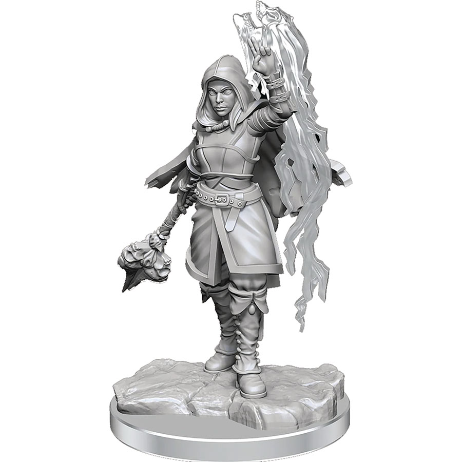 Dungeons & Dragons Nolzurs Marvelous Miniature - Half-Elf Warlock