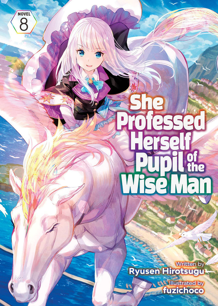 She Professed Herself Pupil Of The Wise Man Light Novel Vol 8