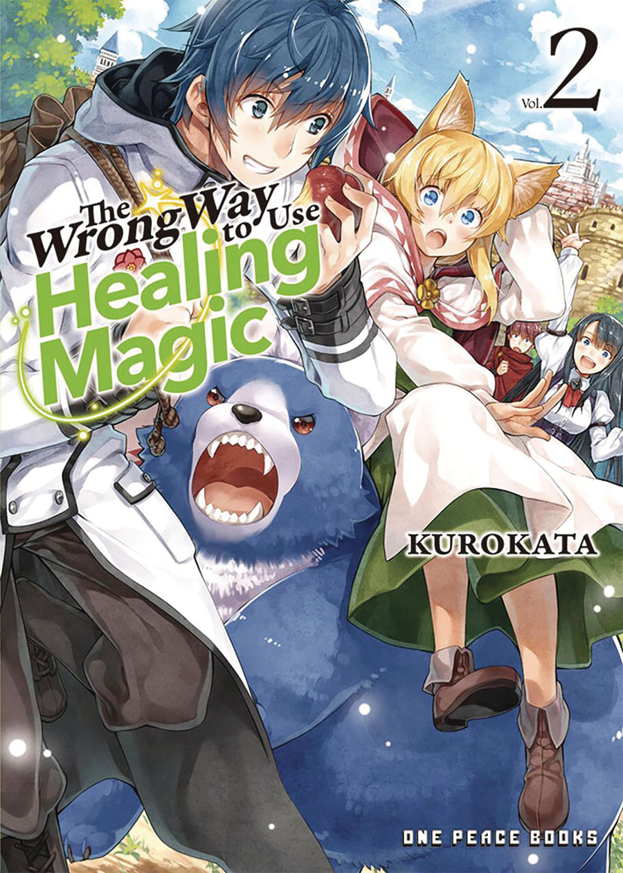 Wrong Way To Use Healing Magic Light Novel Vol 2