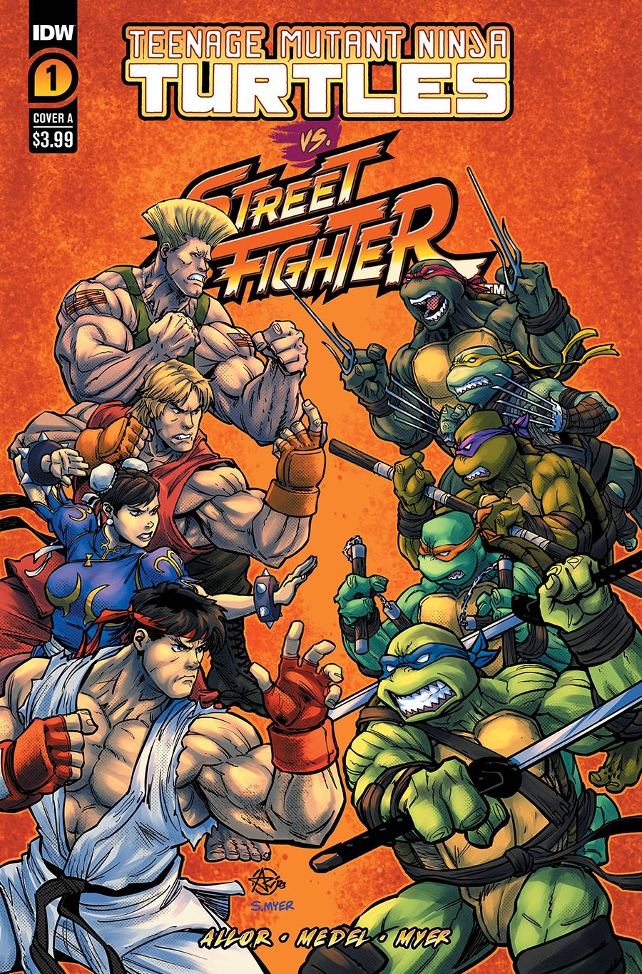 Teenage Mutant Ninja Turtles vs Street Fighter #1 Cover A Regular Ariel Medel Cover