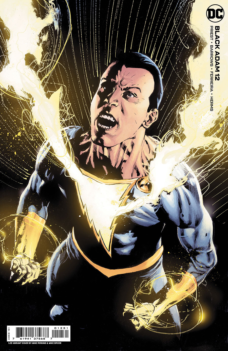 Black Adam #12 Cover D Incentive Mike Perkins & Michael Spicer Card Stock Variant Cover
