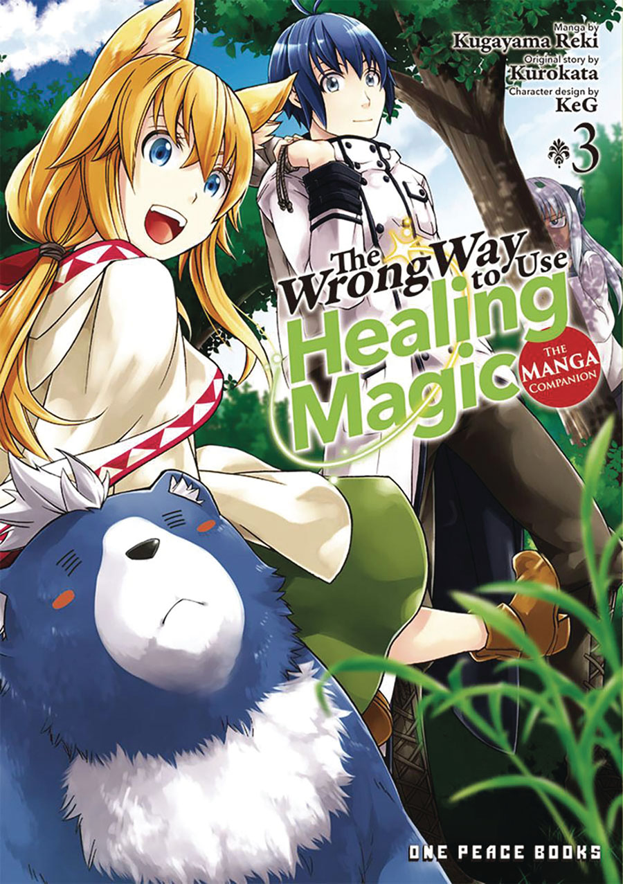 Wrong Way To Use Healing Magic Manga Companion Vol 3 GN